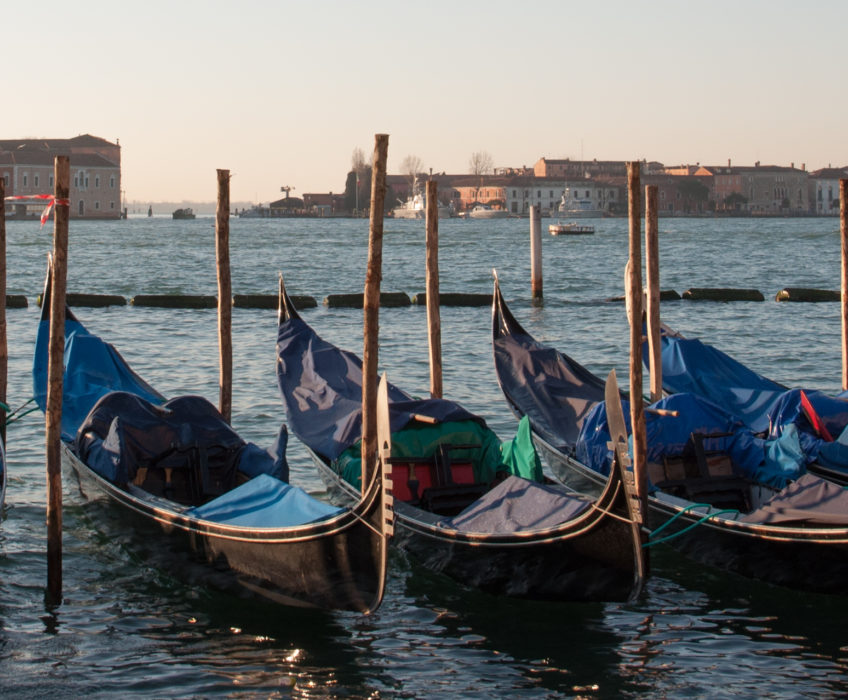 Que vous inspire le nom de VENISE ? Le Carnaval en effet…Sans équivalent dans le monde il  vous fera découvrir une incroyable atmosphère le long des rivages de la lagune, à chaque coin de rue, au détour de chaque pont, … <a href="http://www.lecygnebleu.fr/le-carnaval-de-venise-2014-part-1.html">Lire la suite­­</a>