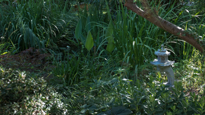   En mémoire à Maman qui nous a quitté le 1er Novembre 2017. Elle appréciait se promener dans notre jardin,  elle aimait les fleurs. Malheureusement avec sa maladie il y a très longtemps qu’elle ne l’a pas vu….. Ces fleurs … <a href="http://www.lecygnebleu.fr/un-bouquet-de-fleurs-en-memoire-a-maman.html">Lire la suite­­</a>