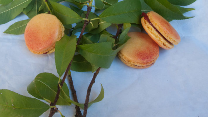                                                                                 … <a href="http://www.lecygnebleu.fr/les-macarons-de-sergio.html">Lire la suite­­</a>