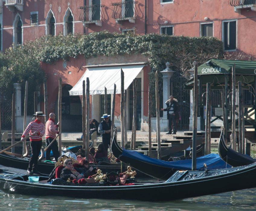 L’Architecture Vénitienne Si vous allez à Venise , prenez le temps de faire un tour de vaporetto et descendez (ou  remontez suivant l’heure de la journée pour faire des photos) le Grand Canal . Et là sur les 2 rives … <a href="http://www.lecygnebleu.fr/le-carnaval-de-venise-2014-part-2.html">Lire la suite­­</a>