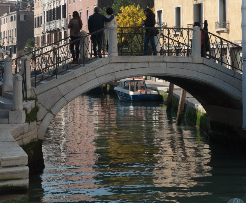 L’Architecture Vénitienne Si vous allez à Venise , prenez le temps de faire un tour de vaporetto et descendez (ou  remontez suivant l’heure de la journée pour faire des photos) le Grand Canal . Et là sur les 2 rives … <a href="http://www.lecygnebleu.fr/le-carnaval-de-venise-2014-part-2.html">Lire la suite­­</a>