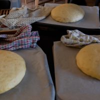 les déposer sur des plaques à pâtisserie sous un linge et laisser pousser les pâtons.