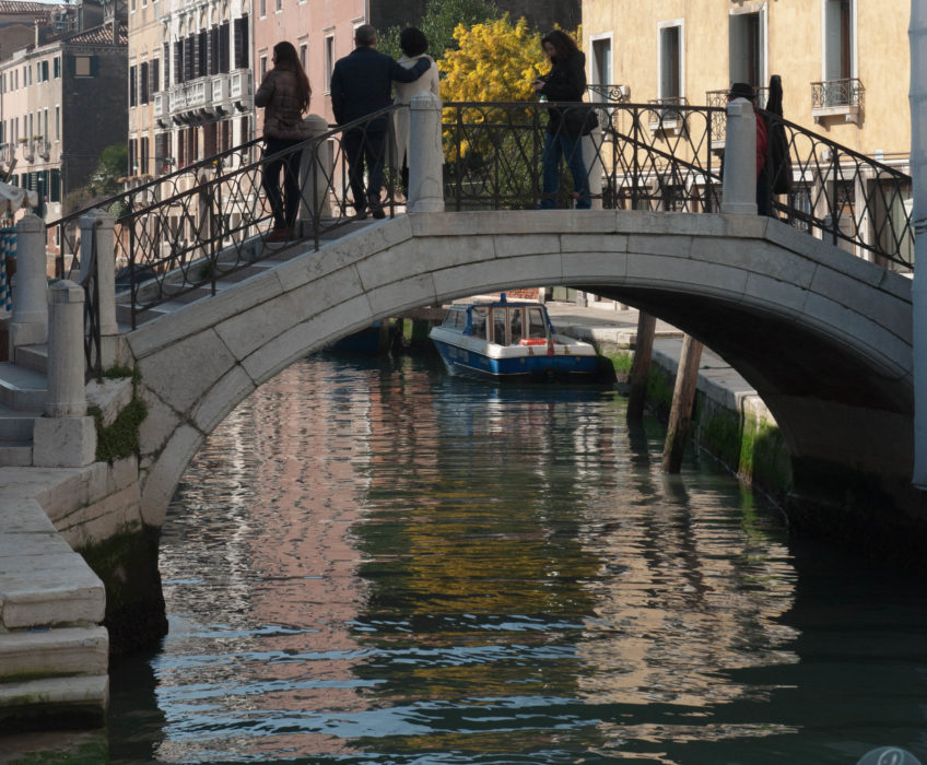 L’Architecture Vénitienne Si vous allez à Venise , prenez le temps de faire un tour de vaporetto et descendez (ou  remontez suivant l’heure de la journée pour faire des photos) le Grand Canal . Et là sur les 2 rives … <a href="https://www.lecygnebleu.fr/le-carnaval-de-venise-2014-part-2.html">Lire la suite­­</a>